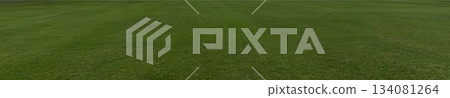 Uniform grassy terrain is filling entire frame in flat design with dense green blades Uniform grassy terrain is filling entire frame in flat design with dense green blades 134081264