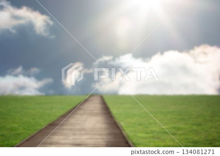 Road amidst green grass field Road amidst green grass field 134081271