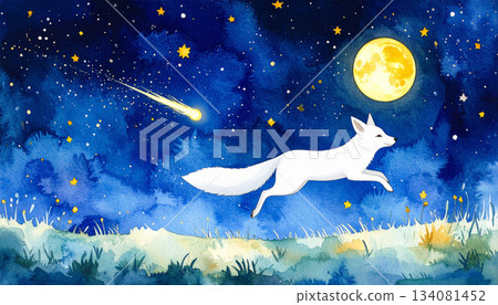 一隻白狐奔跑在草地上，流星劃過，滿月高懸。 134081452