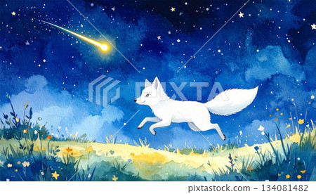 一隻夢幻般的白狐在星光璀璨的夜晚奔跑在草原上 134081482