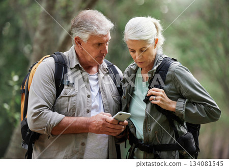 Forest, hiking and elderly couple with phone for gps, location or navigation while exploring together. Online, maps and active senior man with woman checking direction while backpacking in nature 134081545
