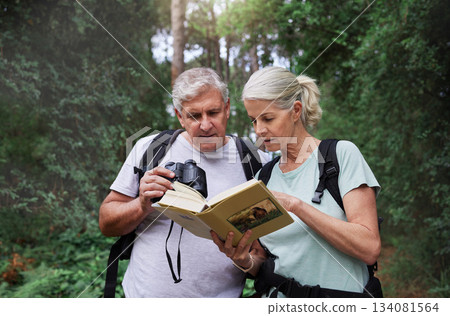 Book, bird watching and reading with old couple in nature for bonding, discovery or travel adventure. Search, hiking and view with man and woman in forest for explore, retirement or ornithology hobby Book, bird watching and reading with old couple in nature for bonding, discovery or travel adventure. Search, hiking and view with man and woman in forest for explore, retirement or ornithology hobby 134081564