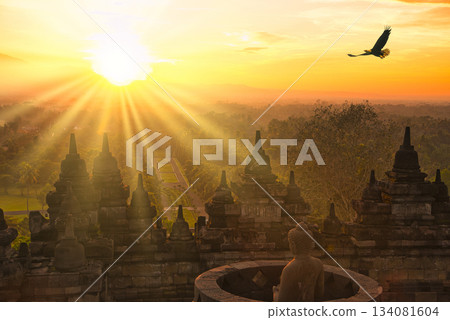 Beautiful morning view of Borobudur temple Beautiful morning view of Borobudur temple 134081604