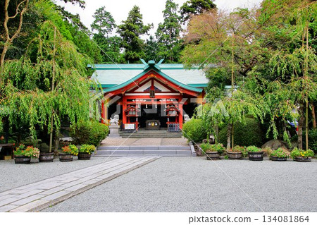 Founded in 1161... "Shinbashi Sengen Shrine" where the opening and closing ceremonies of Mount Fuji are also held Founded in 1161... "Shinbashi Sengen Shrine" where the opening and closing ceremonies of Mount Fuji are also held 134081864