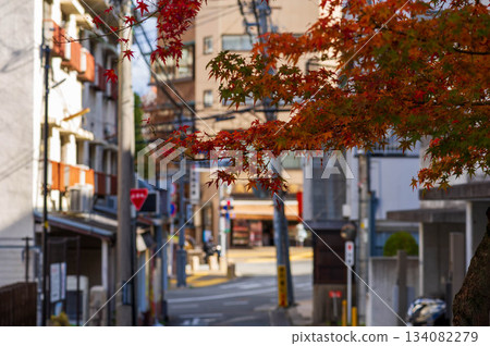 Autumn leaves 134082279