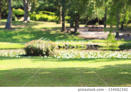 Park scene is showcasing grass lawn, pond with lily pads, shrubs, trees, benches in flat design 134082392