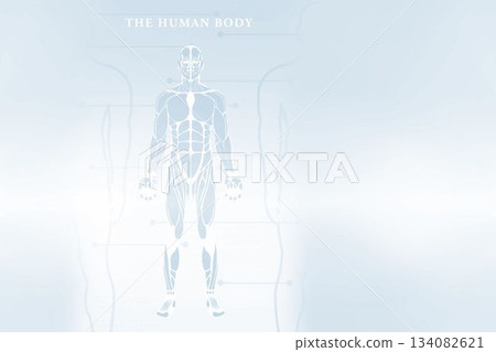 Digitally composite image of human body skeleton Digitally composite image of human body skeleton 134082621