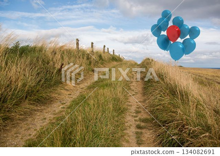 Balloons above sand dunes Balloons above sand dunes 134082691