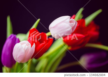 Pink red purple tulip bouquet is being shown in flat design with dark seamless background 134082804