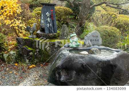 Gero Hot Spring Village 134083099