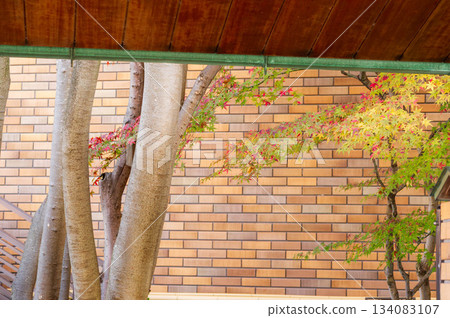 Hotel Wakamizu Hotel Wakamizu 134083107