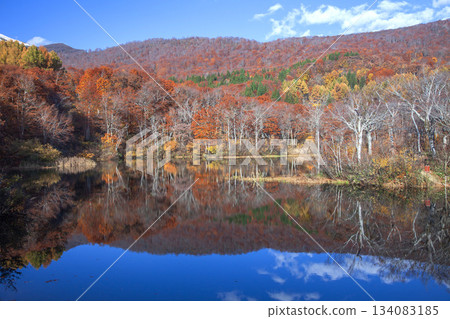 秋天的月山地藏沼 134083185