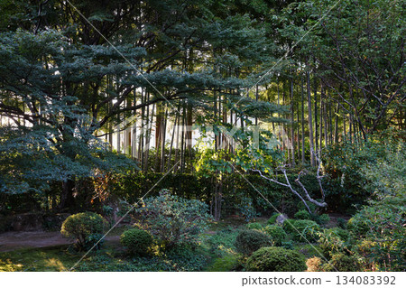 黃昏時分的大原寶仙院庭園 134083392