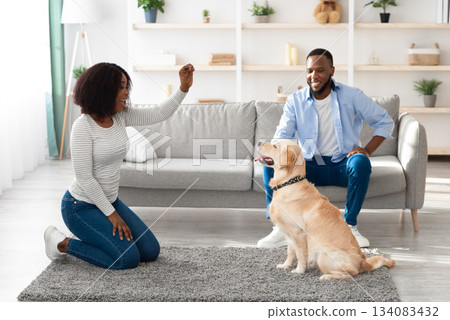 Dog Training Commands. Happy black woman teaching pet at home in living room, playing with golden retriever and rewarding him with treats, giving animal food, husband sitting on sofa looking at wife Dog Training Commands. Happy black woman teaching pet at home in living room, playing with golden retriever and rewarding him with treats, giving animal food, husband sitting on sofa looking at wife 134083432