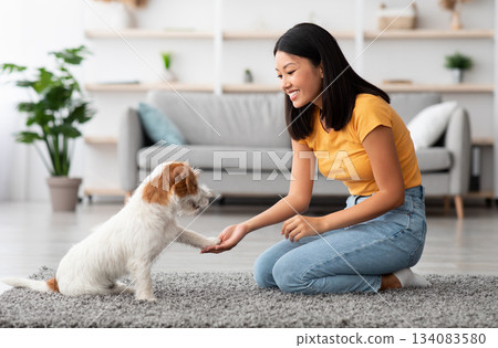 Positive millennial asian woman in casual sitting on floor in living room, training her smart fluffy doggy jack russel terrier breed to give paw, side view, copy space. Dog training at home concept Positive millennial asian woman in casual sitting on floor in living room, training her smart fluffy doggy jack russel terrier breed to give paw, side view, copy space. Dog training at home concept 134083580