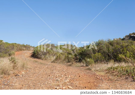 Winding dirt trail is climbing scrubland hillside in flat design, with scattered rocks and shrubs Winding dirt trail is climbing scrubland hillside in flat design, with scattered rocks and shrubs 134083684