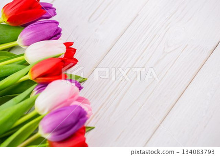 Colorful tulip blossoms with green stems are lining diagonal white wood planks in flat design 134083793
