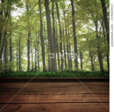 Wooden floor against forest 134083937