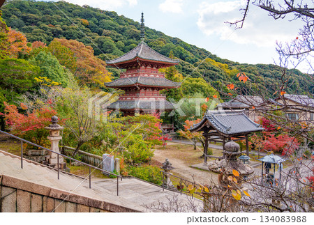 Autumn Kobe, Taisanji, Mie Tower and Autumn Leaves 134083988