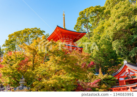 Autumn in Kobe, Suma-dera Temple's three-story pagoda 134083991