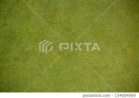 Close-up grass texture is appearing in flat design, with uniform green blades filling frame 134084069