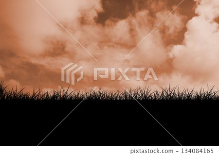 Flat design vector grass blades are standing silhouetted on horizon, filling sepia cloudy sky above Flat design vector grass blades are standing silhouetted on horizon, filling sepia cloudy sky above 134084165