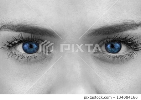 Woman's bright blue eyes are standing out in grayscale close-up portrait, with arched brows Woman's bright blue eyes are standing out in grayscale close-up portrait, with arched brows 134084166