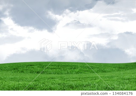 Rolling green grassy hill is rising under thick gray clouds in flat design composition Rolling green grassy hill is rising under thick gray clouds in flat design composition 134084176