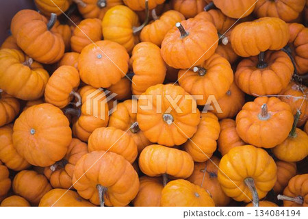Small orange pumpkins are piling in flat design with vertical ridges, stems, transparent background 134084194