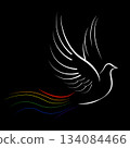 Dove with a rainbow tail 134084466