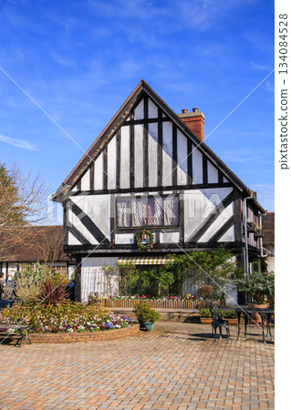 Izu Shuzenji Rainbow Village, where autumn leaves are at their peak 134084528