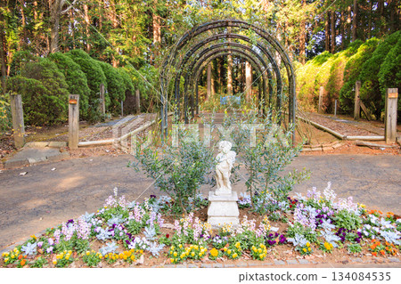 Izu Shuzenji Rainbow Village, where autumn leaves are at their peak 134084535