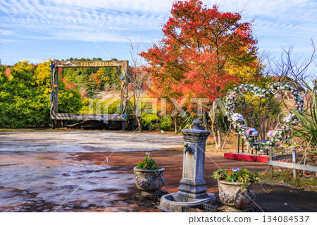 Izu Shuzenji Rainbow Village, where autumn leaves are at their peak Izu Shuzenji Rainbow Village, where autumn leaves are at their peak 134084537
