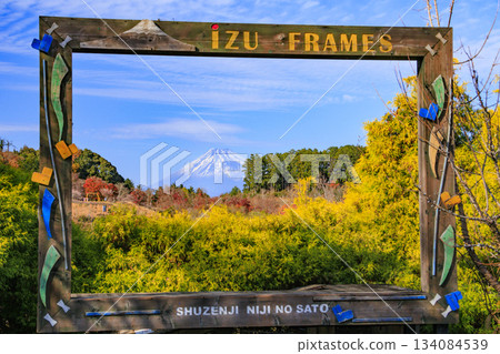 Izu Shuzenji Rainbow Village, where autumn leaves are at their peak Izu Shuzenji Rainbow Village, where autumn leaves are at their peak 134084539