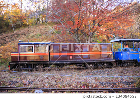 Izu Shuzenji Rainbow Village, where autumn leaves are at their peak 134084552