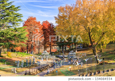 Izu Shuzenji Rainbow Village, where autumn leaves are at their peak 134084554