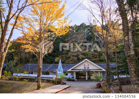 Izu Shuzenji Rainbow Village, where autumn leaves are at their peak Izu Shuzenji Rainbow Village, where autumn leaves are at their peak 134084556