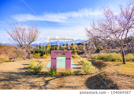 伊豆修善寺彩虹村,秋葉正值最美時節 伊豆修善寺彩虹村,秋葉正值最美時節 134084567