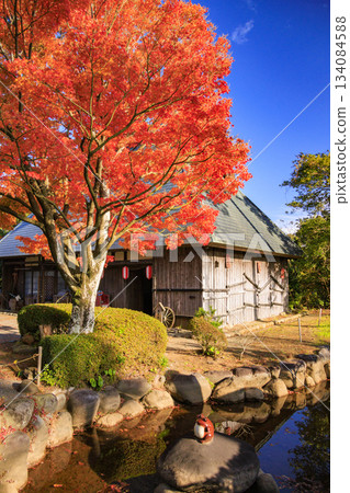 Izu Shuzenji Rainbow Village, where autumn leaves are at their peak 134084588