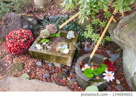 Izu Shuzenji Rainbow Village, where autumn leaves are at their peak 134084601