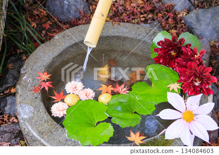 Izu Shuzenji Rainbow Village, where autumn leaves are at their peak 134084603
