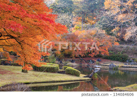 Izu Shuzenji Rainbow Village, where autumn leaves are at their peak Izu Shuzenji Rainbow Village, where autumn leaves are at their peak 134084606