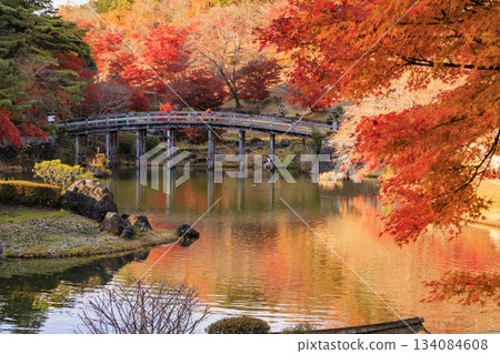 Izu Shuzenji Rainbow Village, where autumn leaves are at their peak Izu Shuzenji Rainbow Village, where autumn leaves are at their peak 134084608