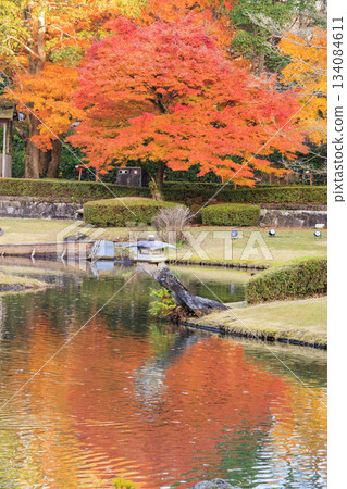 Izu Shuzenji Rainbow Village, where autumn leaves are at their peak 134084611
