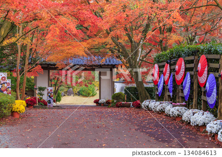 Izu Shuzenji Rainbow Village, where autumn leaves are at their peak Izu Shuzenji Rainbow Village, where autumn leaves are at their peak 134084613