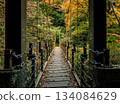 Scenery of a suspension bridge over an autumn forest 134084629