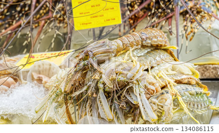 Fresh raw mantis shrimps 134086115