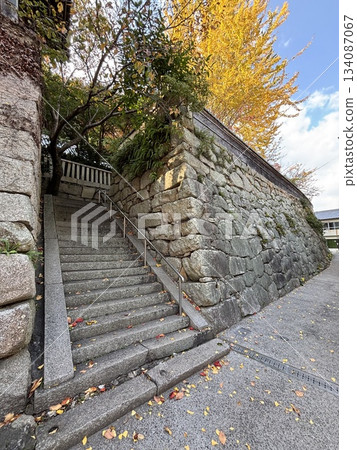 Manshuji Temple stone wall in autumn Manshuji Temple stone wall in autumn 134087067