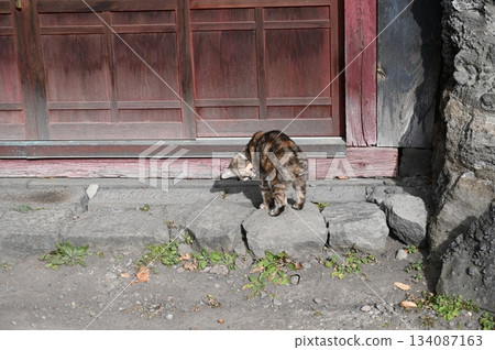 Kuon Kuidō 134087163