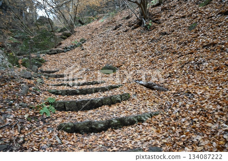 Kuon Kuidō 134087222